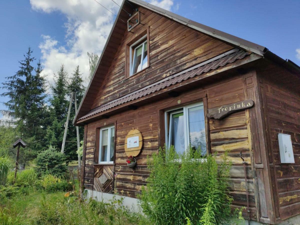 Ferienwohnung W Starym Sadzie Białowieża Exterior foto